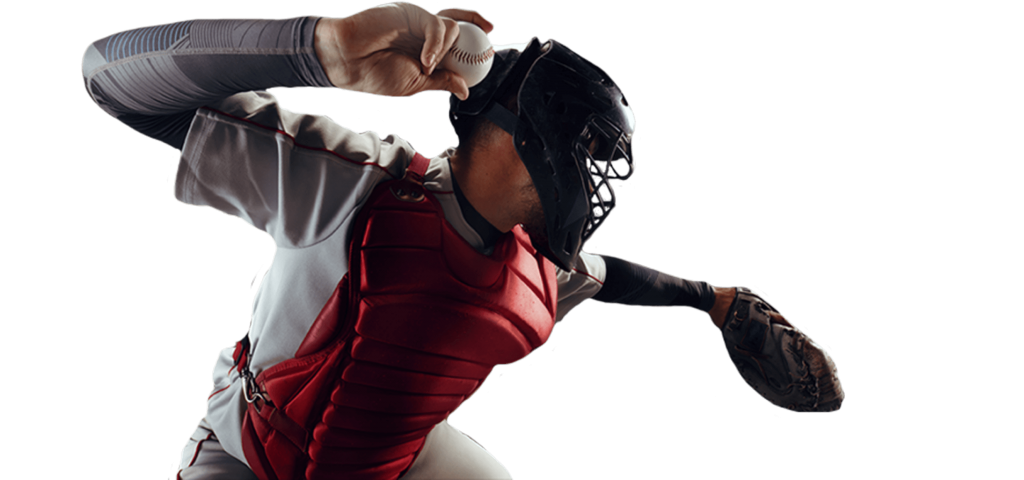 Digitain Web solution