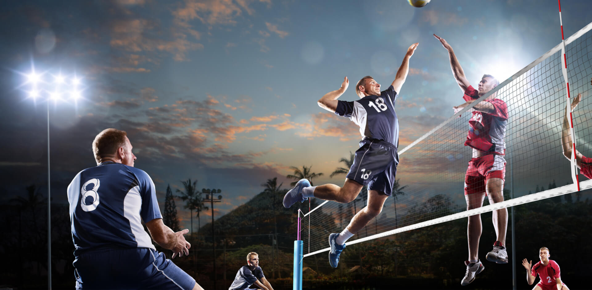 digitain Regulations & Licensing