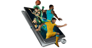 Sportsbook Software Bespoke API
