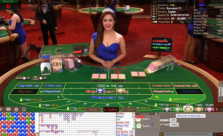 Who is Your casino Customer?