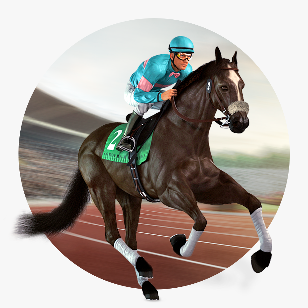 Virtual-Horse-Racing