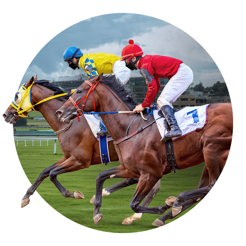 horse-steeplechase