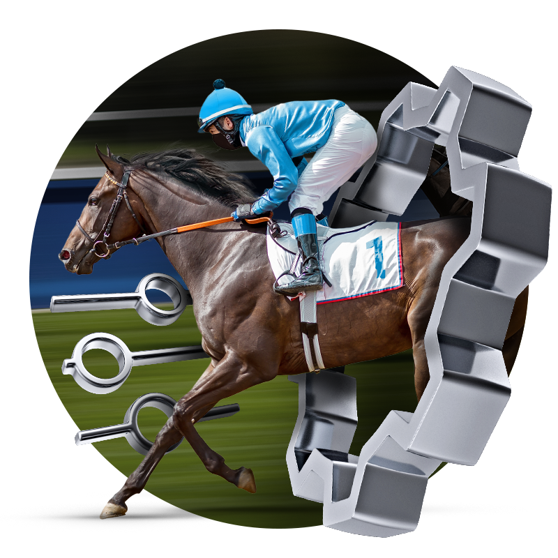 horse-steeplechase